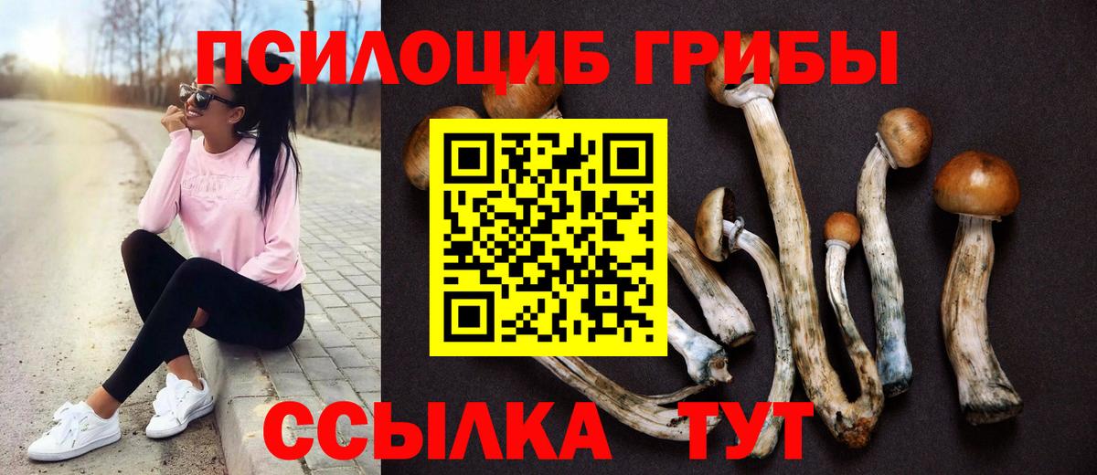 Галлюциногенные грибы мицелий  Галлюциногенные грибы мицелий  Вход с VPN  Волхов 